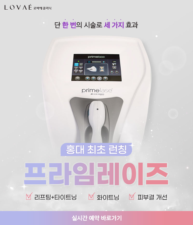 프라임레이즈 런칭