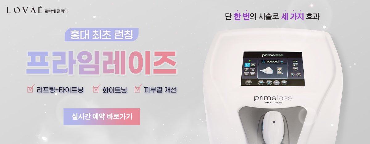 프라임레이즈 런칭